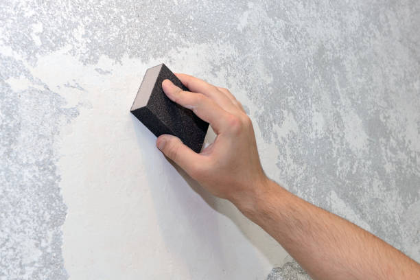 Best Emergency Mold Remediation  in Acworth, GA