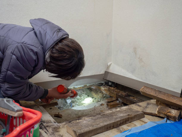 Best Industrial Mold Remediation  in Acworth, GA
