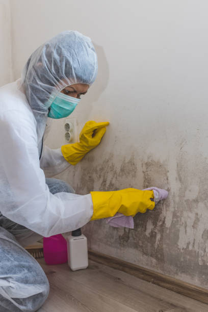 Best HVAC Mold Inspection and Cleaning  in Acworth, GA