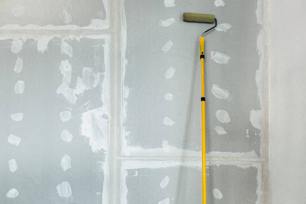 Best Real Estate Mold Inspection  in Acworth, GA