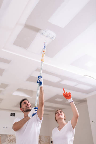 Best Mold Damage Restoration  in Acworth, GA