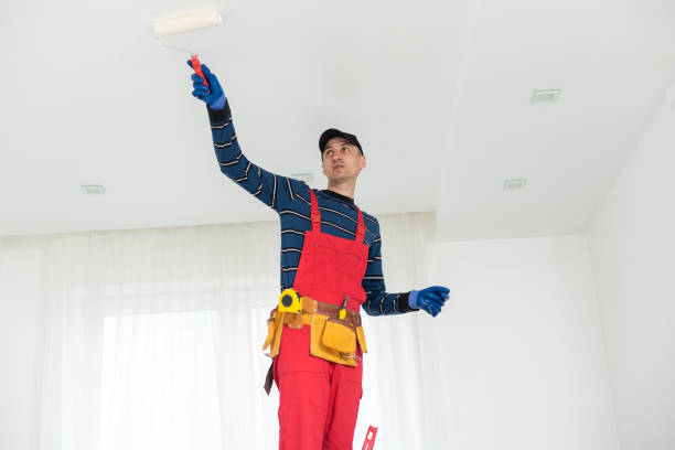 Acworth, GA Mold Removal Company