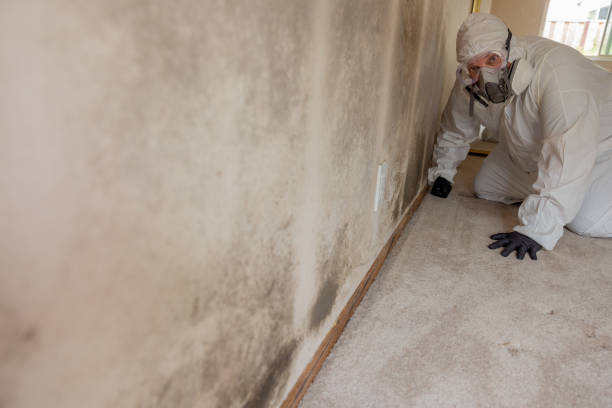 Best Residential Mold Inspection & Testing  in Acworth, GA